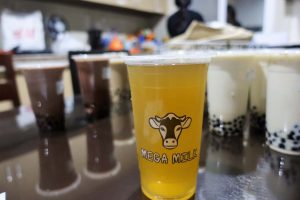 スターゲート校ミルクティー