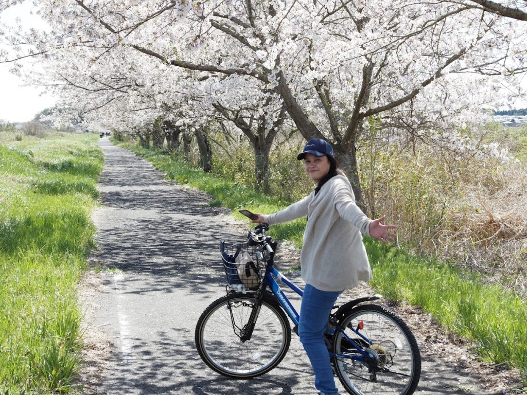 桜の中をサイクリングするフィリピン人講師