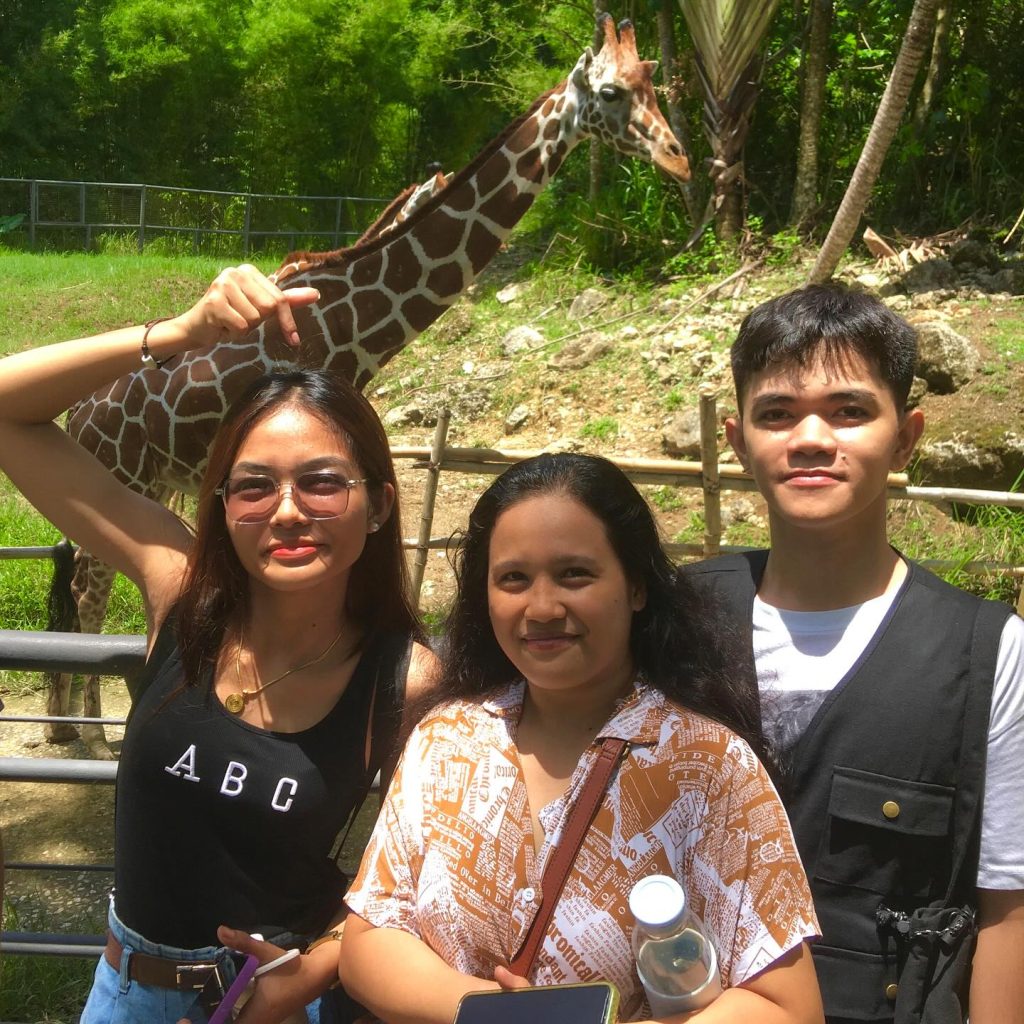 セブサファリのキリン